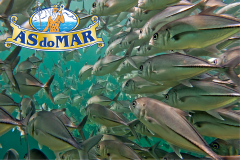 ASdoMAR, when the flavors of the seas come into a jar