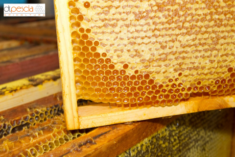 The sweetest new entry: Dottor Pescia