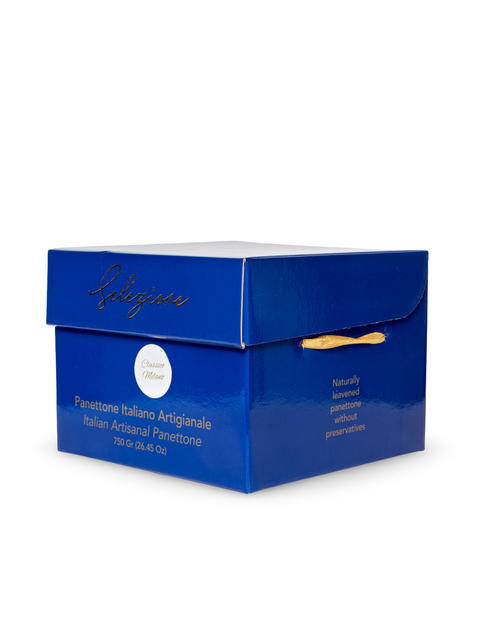 Magnifico Artisanal Traditional Panettone 26.45 Oz