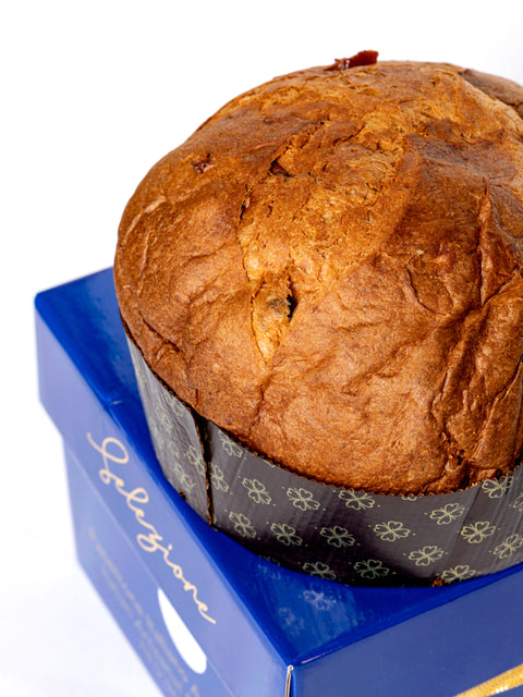 Magnifico Artisanal Traditional Panettone 26.45 Oz