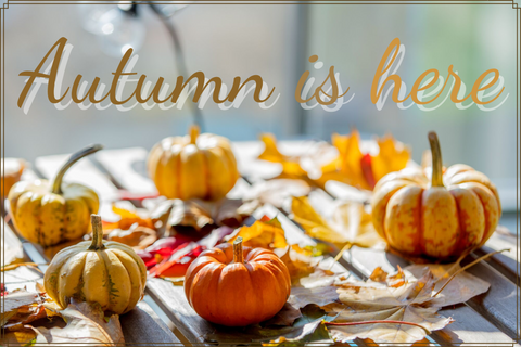 Autumn is here