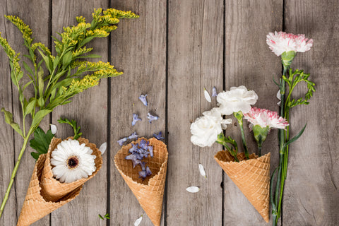 It's Primavera!