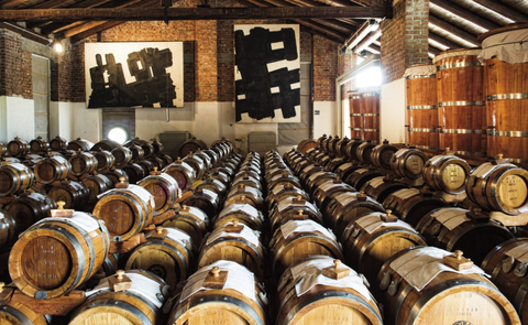 Acetaia Midolini: Where Tradition Meets Innovation for World-Record Balsamic Excellence