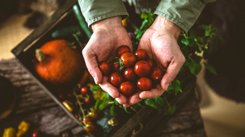 Organic vs. Non-Organic: unveiling the Differences and navigating the importance of your choices