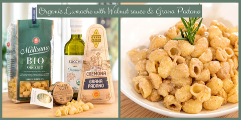 Organic Lumache Pasta with Walnut sauce and Grana Padano