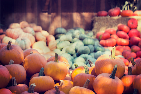 It's Pumpkin Season
