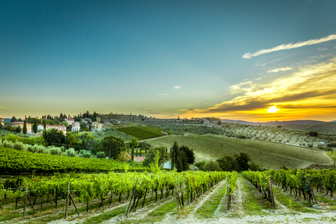 Why are Americans obsessed with Tuscany?