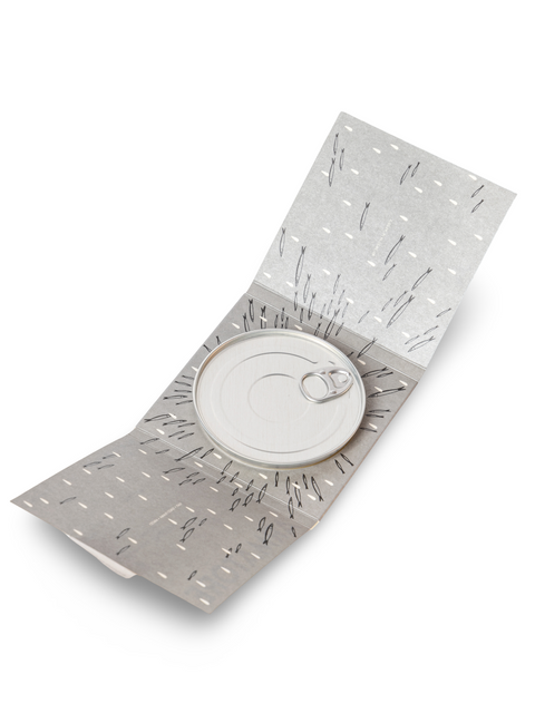 Anchovy Fillets in Olive Oil 3.17 oz