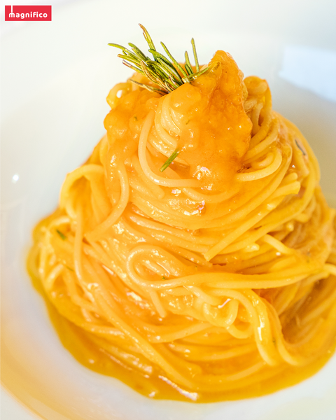 Angel Hair Pasta 1lb - Magnifico Food